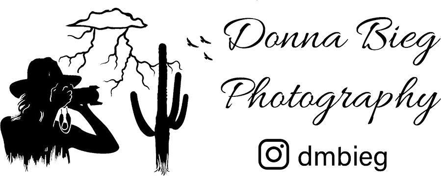 Donna Bieg Photography