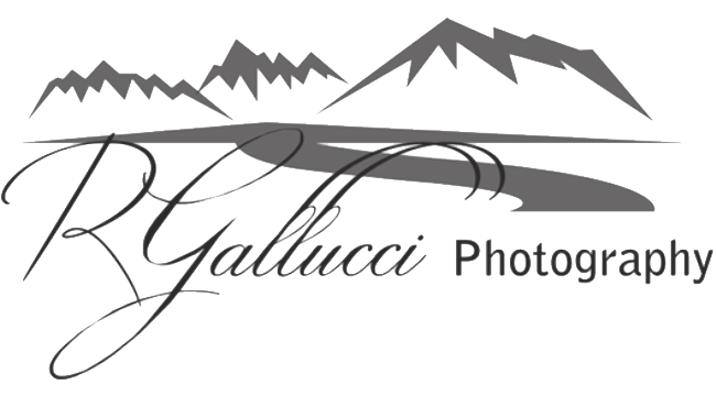 Robert Gallucci Workshops